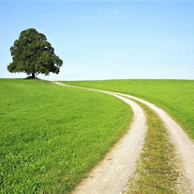 BOB体育综合app入口