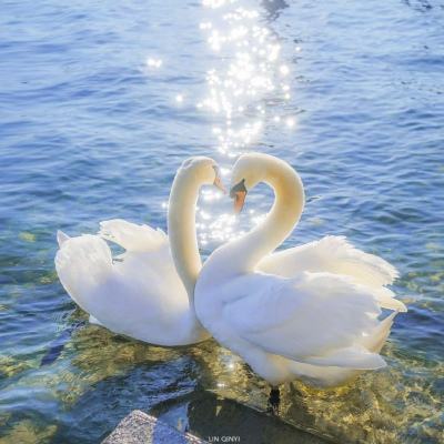 真人斗牛牛最新版app下载