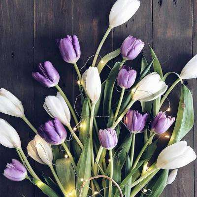 AG棋牌官方网站